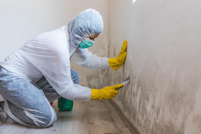 Mold Remediation After a Flood What You Need to Know