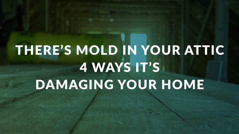 There is mold in your attic - 4 ways it is damaging your home