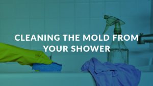 Cleaning the Mold from Your Shower