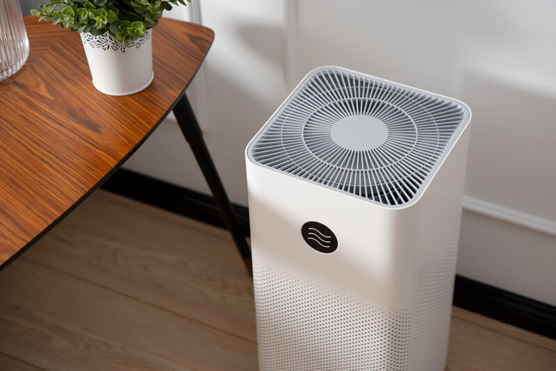 A Guide to Mold in the Bedroom What to Do if You Find Mold