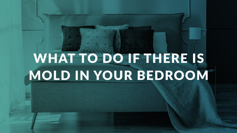 What to Do If There Is Mold in Your Bedroom.