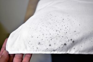 Mold on comforter due to mold in the bedroom.