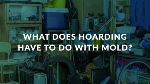 What Does Hoarding Have to do with Mold?