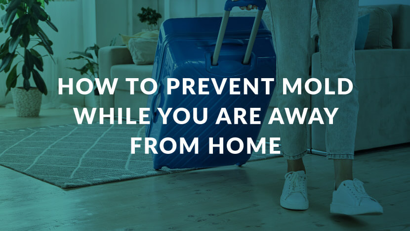 How to Prevent Mold While You Are Away From Home