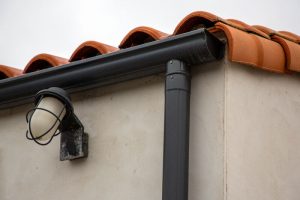 Roof and gutters that need to be checked for mold 