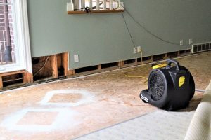 Property being died out during water damage restoration process