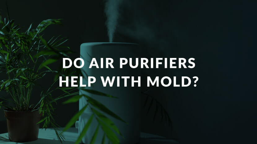 Can an air purifier help with mold?