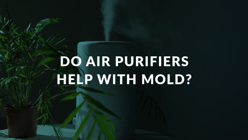 Does Ventilation Help with Mold