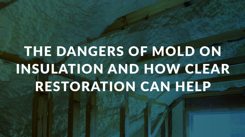 The Dangers of Mold on Insulation and How CLEAR Restoration Can Help