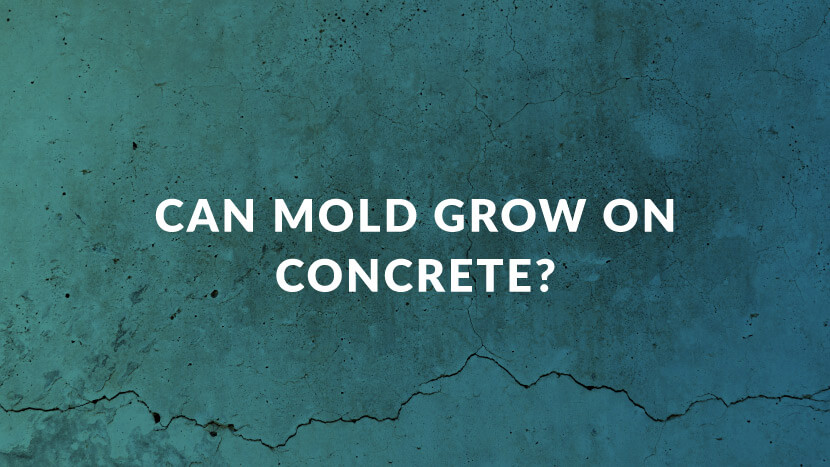 Can mold grow on concrete?