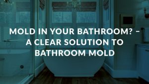 Mold in Your Bathroom - A Clear Solution to Bathroom Mold