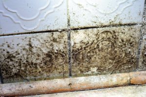 Moldy tiles indicating mold in the bathroom.