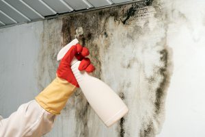 Professional spraying mold in a bathroom.