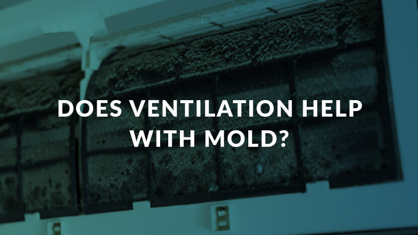 Does Ventilation Help with Mold?