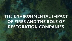 The Environmental Impact of Fires and the Role of Restoration Companies