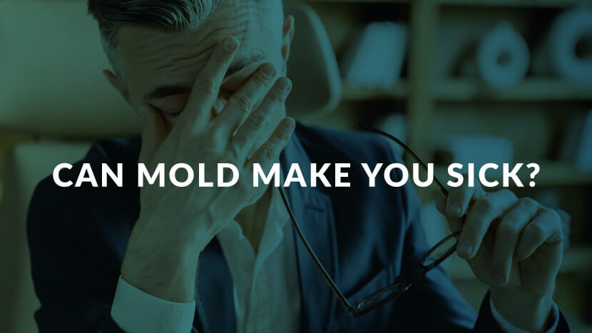 Can mold make you sick?
