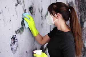 A woman wearing a mask and gloves cleaning mold on a wall.