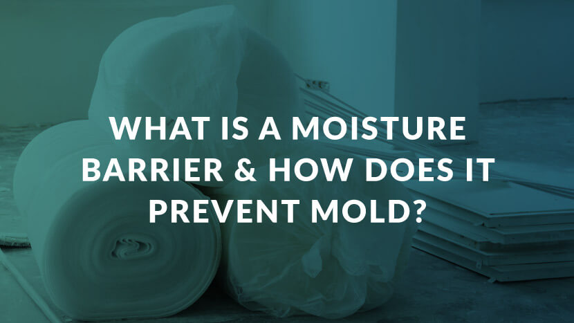 What is a moisture barrier and how does it prevent mold?