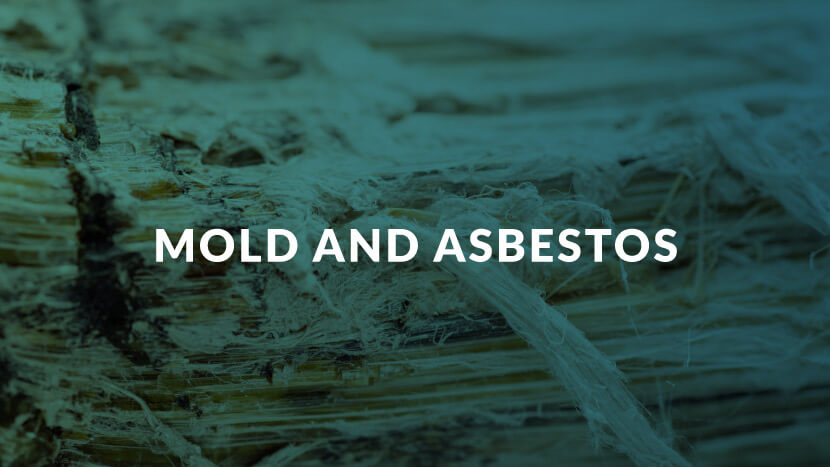 mold and asbestos text on background image of mold