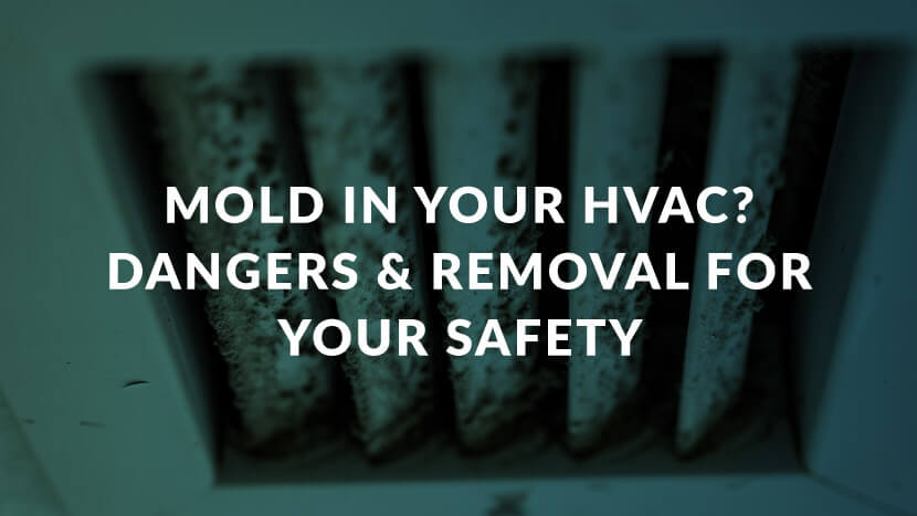Mold in Your HVAC? Dangers & Removal for Your Safety text on image