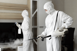 mold inspection in apartment being performed by professionals in safety gear