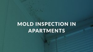 mold inspection in apartments text on background