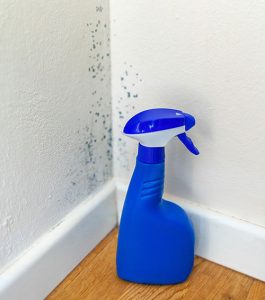 spray bottle with vinegar next to wall with mold