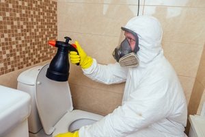 professional kills mold with chemicals instead of vinegar