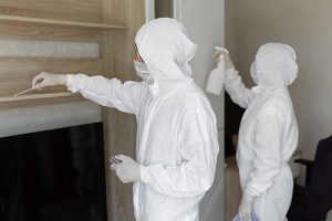 home mold remediation with professionals testing for mold