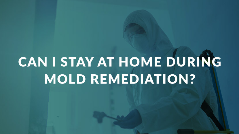 graphic with text reading "can you stay in home during mold remediation"