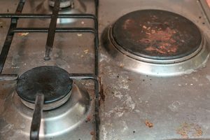 greasy stove top that would allow mold growth on metal surface