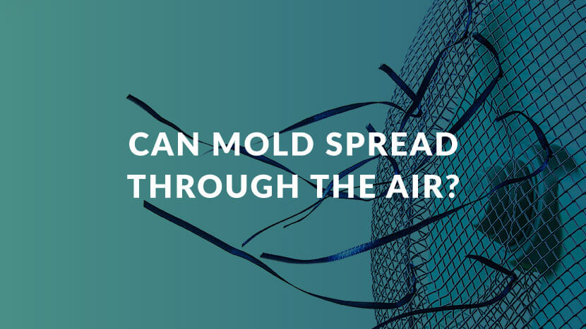 graphic of fan blowing with text "Can Mold Spread Through the Air?"