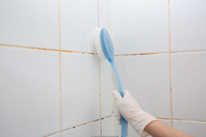 cleaning bathroom tiles before mold can grow