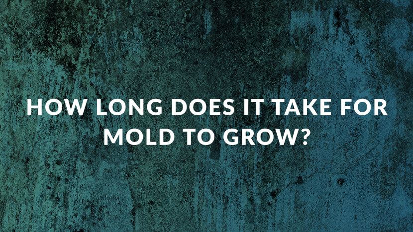 graphic with text that reads "How long does it take for mold to grow?"