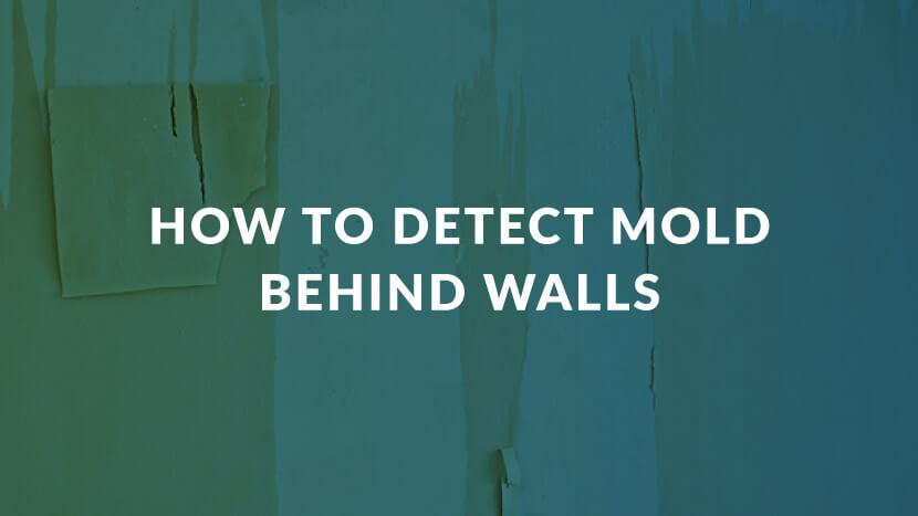 image of peeling wallpaper with text "How to detect mold behind walls"