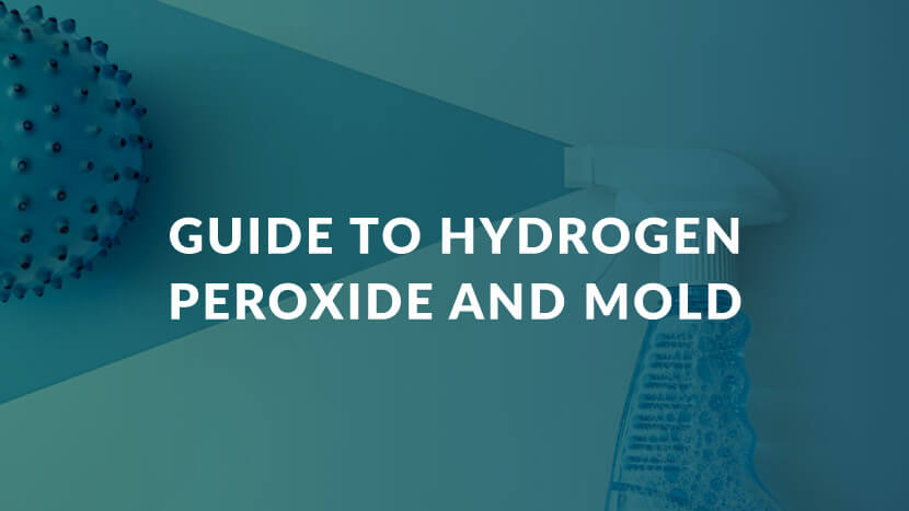 graphic with text that reads "Guide to hydrogen peroxide and mold"