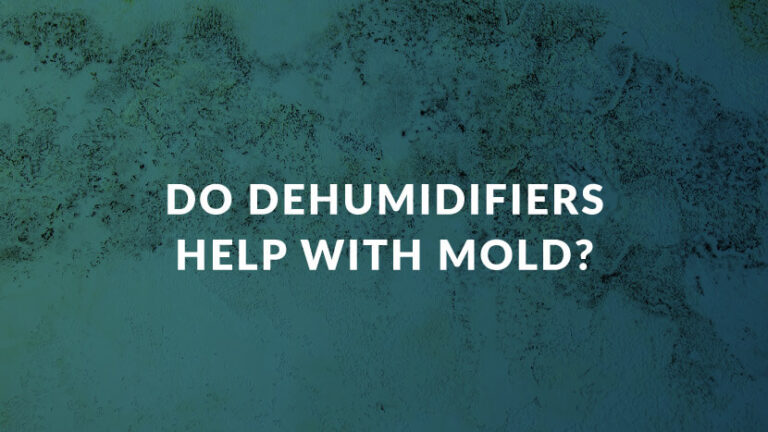 Does A Dehumidifier Help With Mold? 