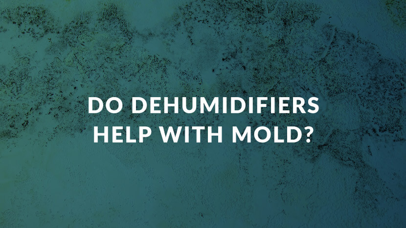 Do dehumidifiers help with mold?